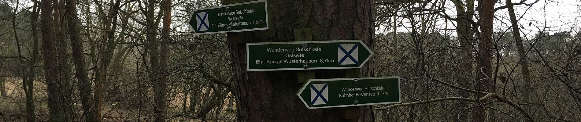 Tocht Te voet Mittenwalde - Wanderweg Sutschketal - Ostseite Krummer See - Photo