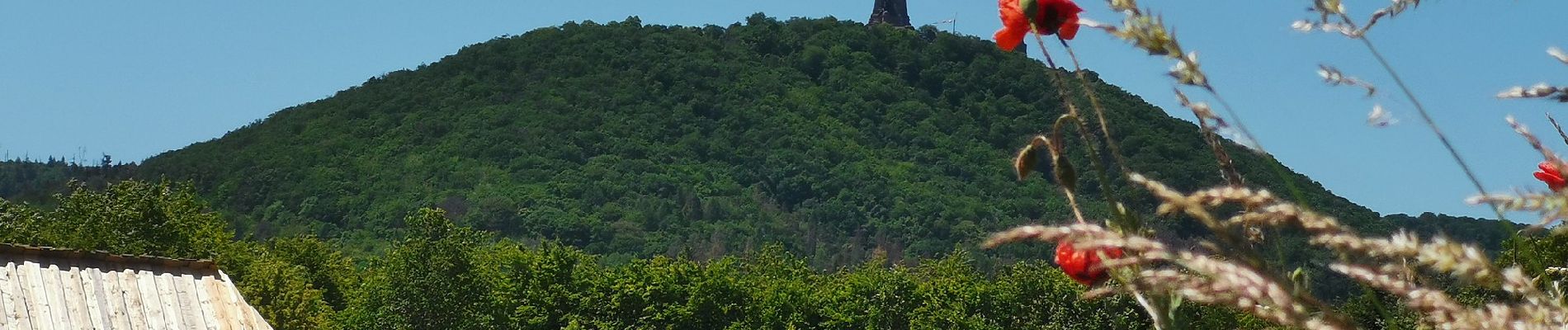 Tour Zu Fuß Kelbra (Kyffhäuser) - Rundweg 1: Schleiferweg-Dorntal - Photo