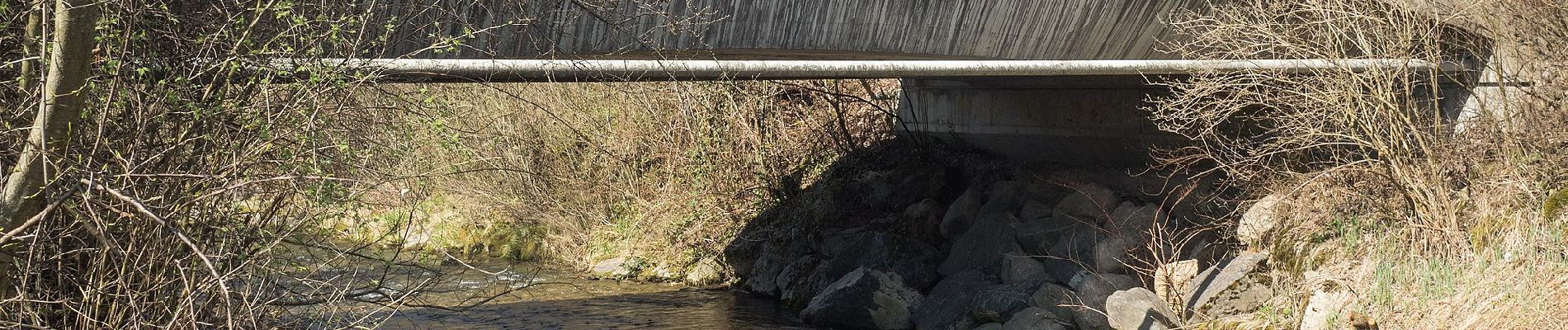 Tour Zu Fuß Baar - Baar - Walterswil - Photo