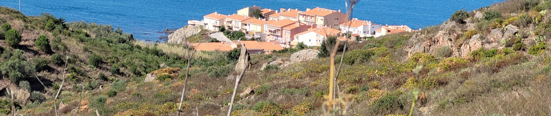 Tocht Stappen Collioure - St Elme consolation_T - Photo