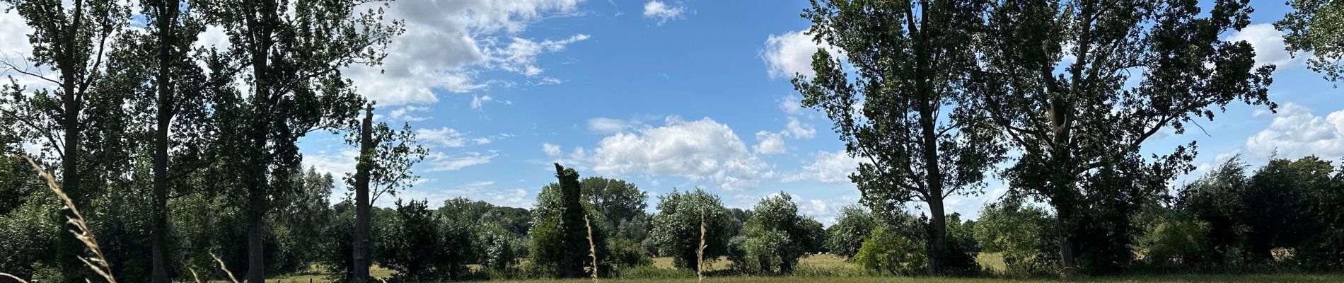 Randonnée Marche Gand - Lourdes d’Oostacker 12,7 km - Photo