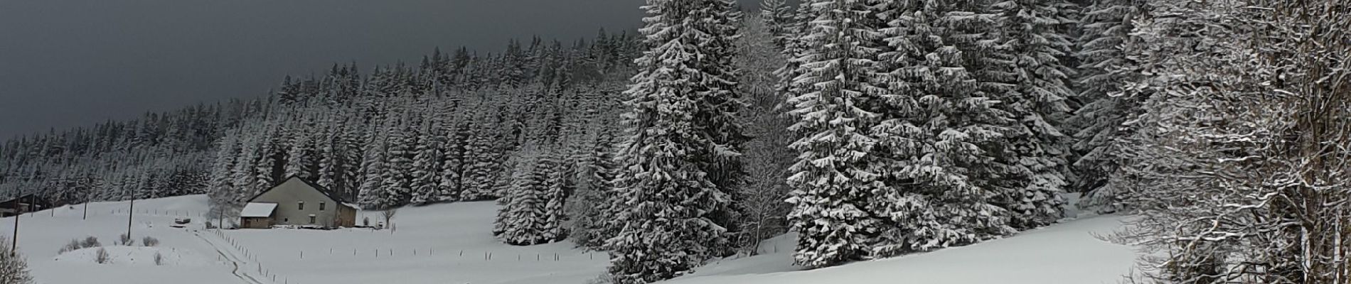 Trail Snowshoes Les Rousses - Noirmont 39 boucle - Photo