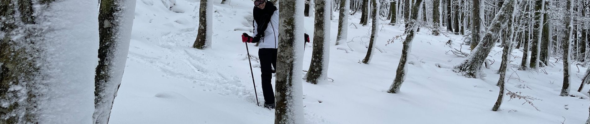 Randonnée Raquettes à neige Le Valtin - Col de la Schlucht - Photo