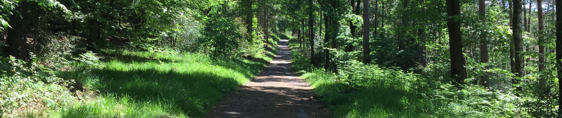 Tocht Hybride fiets Verviers - Bois du Staneux 1 - Photo