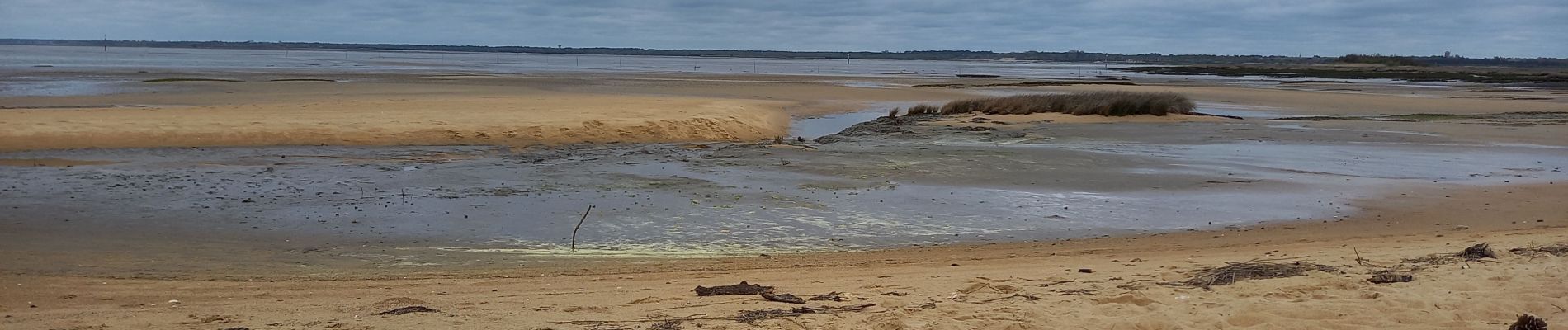 Trail Road bike Arcachon - Les 7 Ports de Gujan-Mestras 10.4.23 - Photo