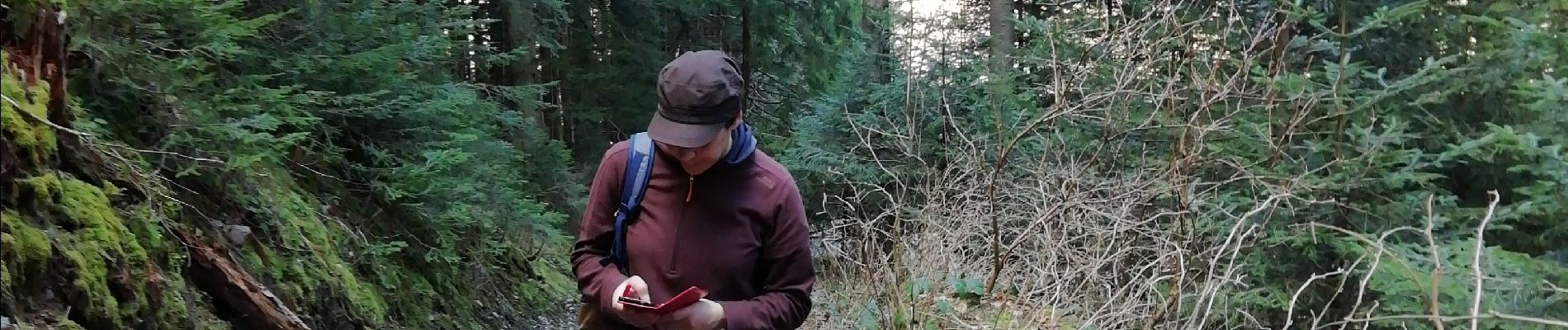 Trail Walking Autrans-Méaudre en Vercors - Le bois du Claret - Photo