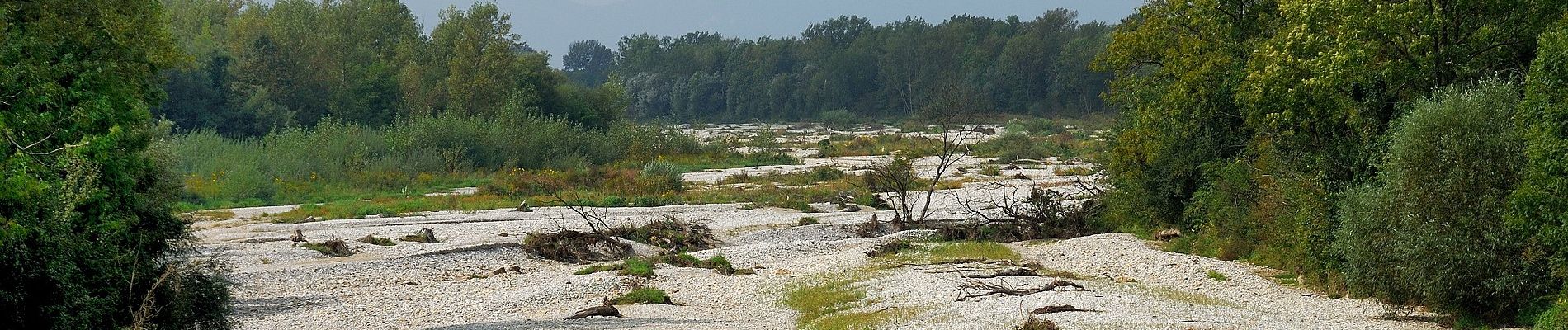 Excursión A pie Gemeinde Bad Erlach - Intersport Dvorak Runde 