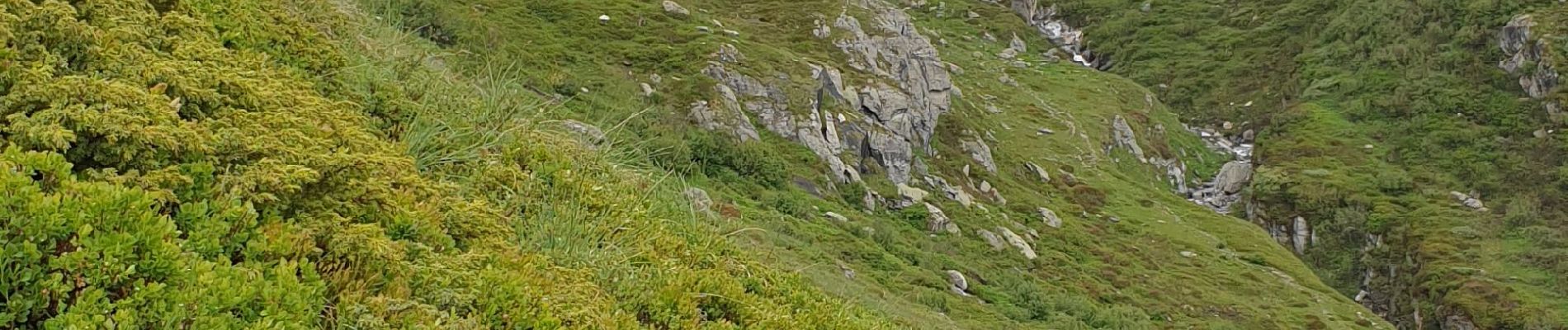 Excursión Senderismo Pralognan-la-Vanoise - Pied du glacier du Genepy - Photo