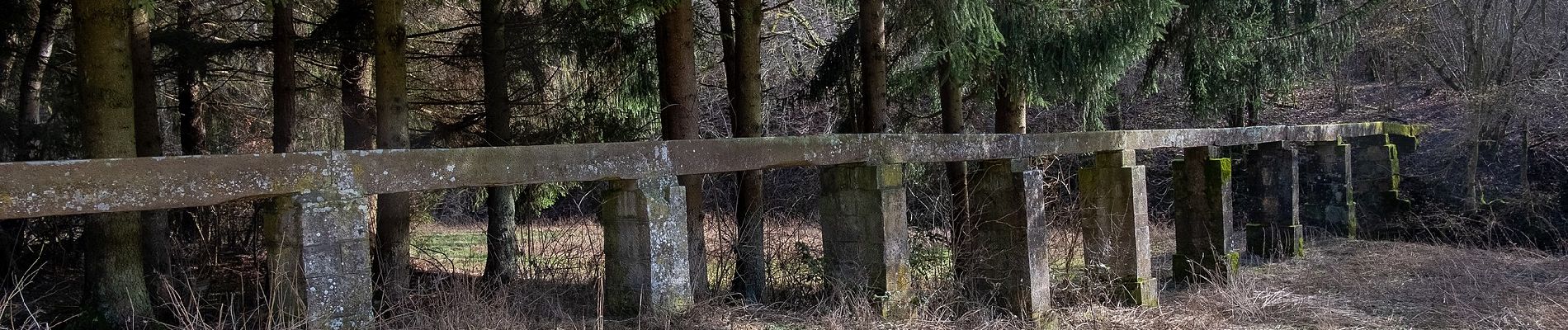 Percorso A piedi Osterburken - Rundwanderweg Barnholz 1: Barnholz-Weg - Photo