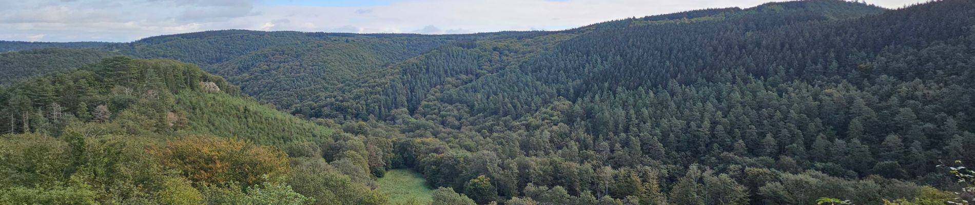 Excursión Senderismo Aywaille -  A la découverte du Ninglinspo 🥾 - Photo