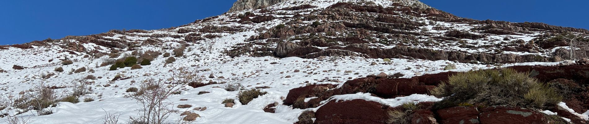 Randonnée Raquettes à neige Rigaud - Tête de Rigaud - Photo