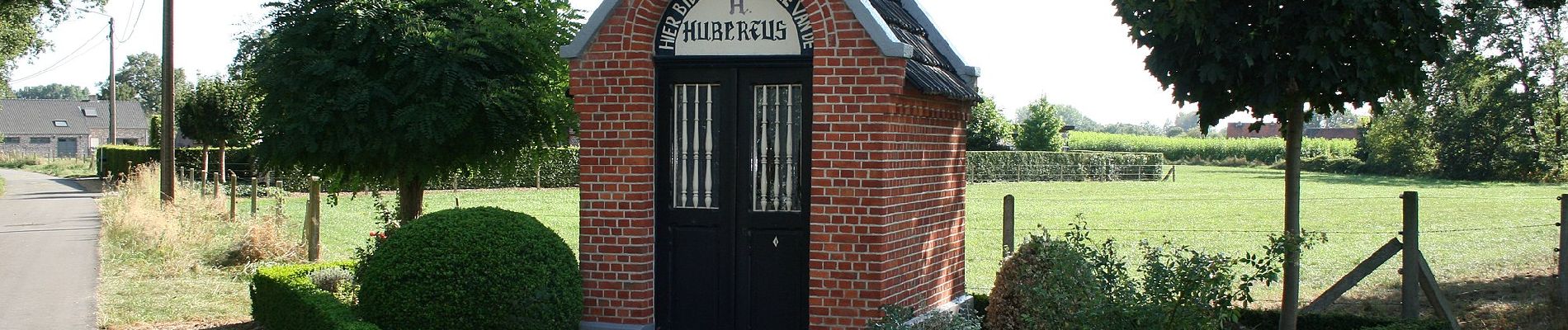 Tour Zu Fuß Kinrooi - Stamprooierbroek Oranje bol - Photo
