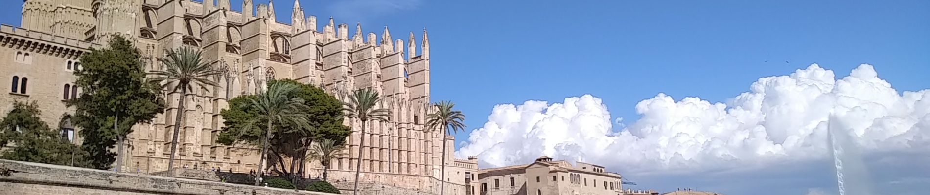 Tocht Stappen Unknown - Palma - Photo