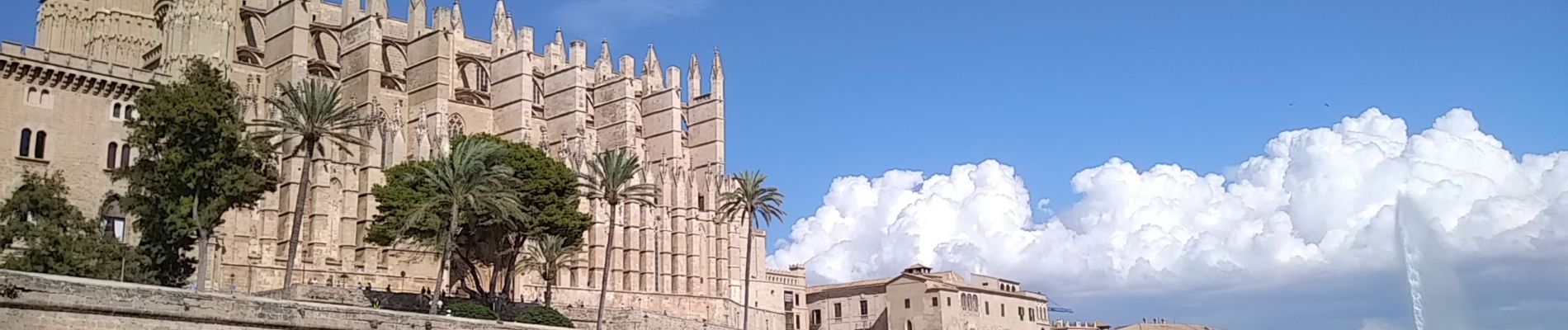 Tour Wandern Unknown - Palma - Photo