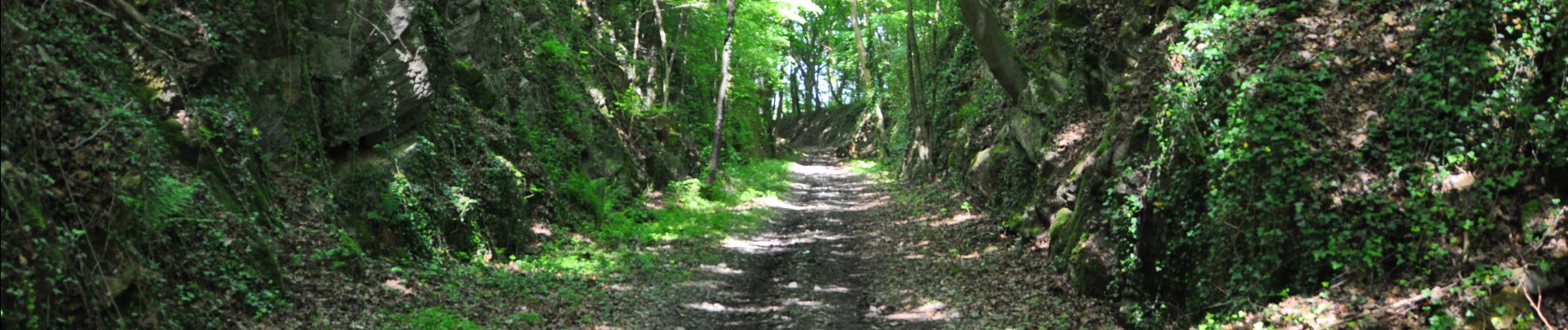 Trail Walking Profondeville - Burnot - Arbre - Annevoie - Photo