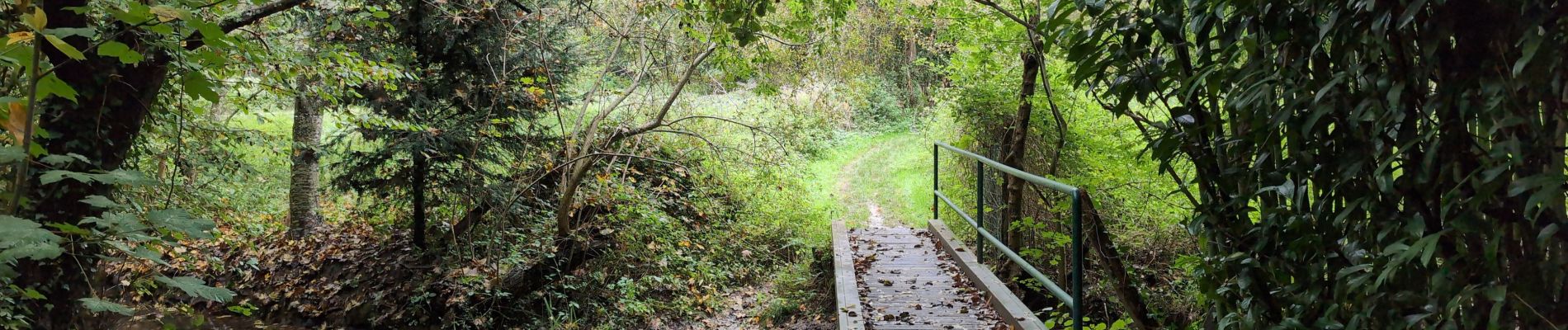 Excursión Senderismo Saint-Cyr-sur-Loire - Saint-Cyr-sur-Loire la Gagnerie - la Membrolle-sur-Choisille Mettray - 24km 405m 5h15 (50mn) - 2024 10 20 - Photo