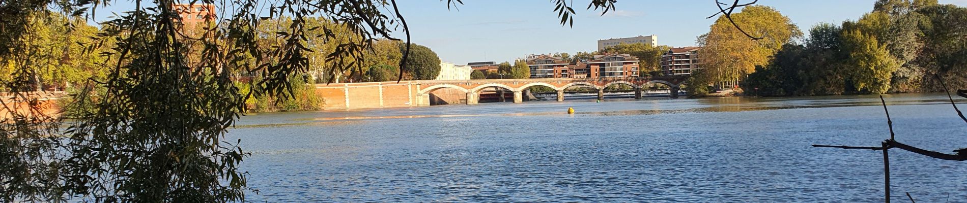 Percorso Bici ibrida Roquettes - Toulouse la prairie des filtres A/R - Photo