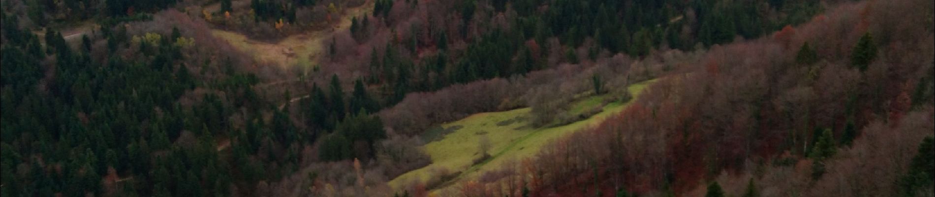 Randonnée Marche Bellignat - Belvédère du Cret  - Photo