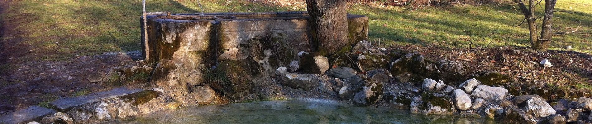 Tour Zu Fuß Wettingen - Mooshalden - Eggetsacher - Photo