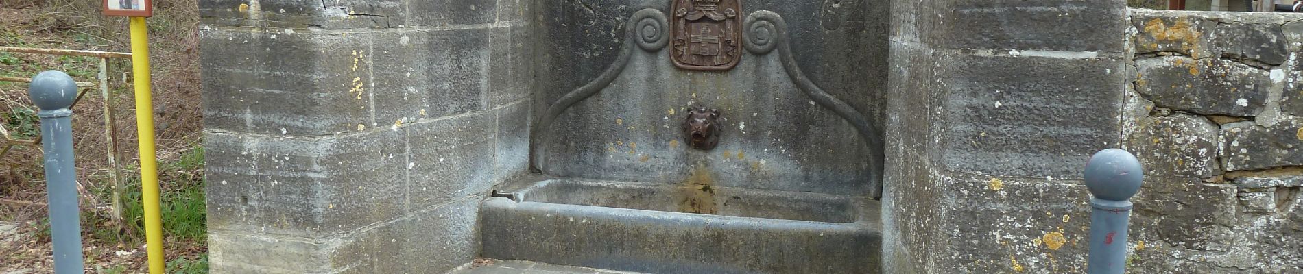 Randonnée Marche Namur - balade journée de l'eau du  02 avril 2023 - Photo