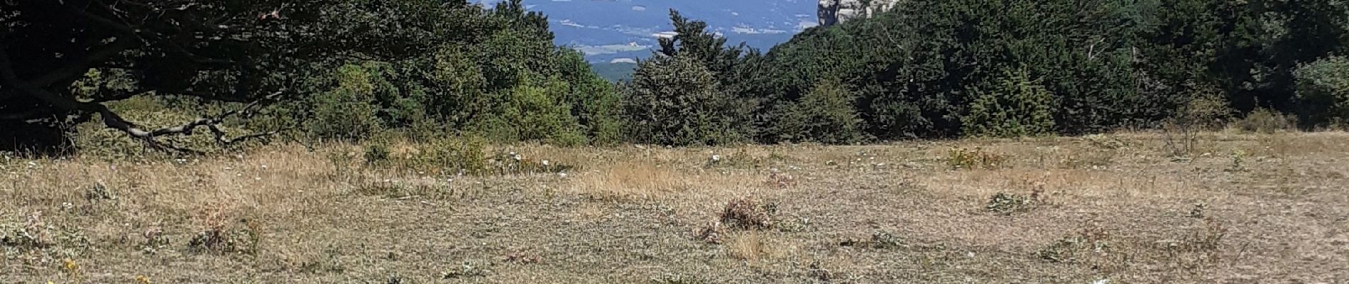 Tour Wandern Le Poët-Laval - les plaines-06-08-2024 - Photo