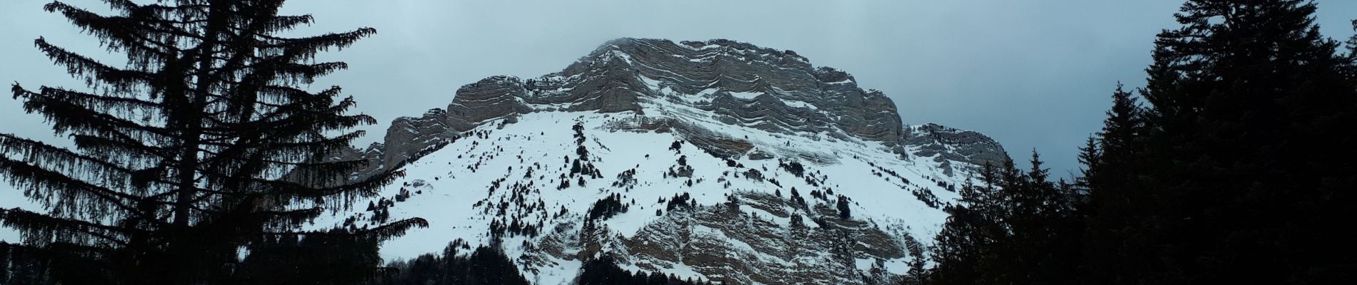 Tocht Sneeuwschoenen Le Sappey-en-Chartreuse - Eimendras du dessus en circuit - Photo