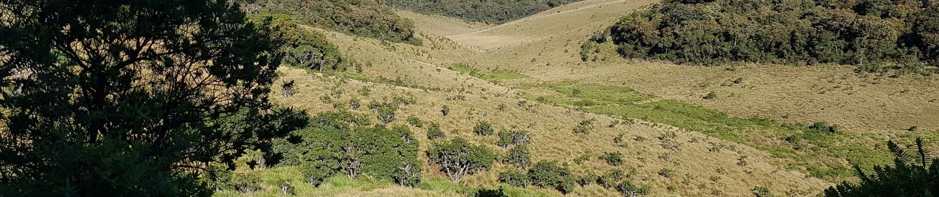 Trail Walking Nuwara Eliya - Sri-09  Nuwara Eliya - Horton Plains - bandarawela - Photo