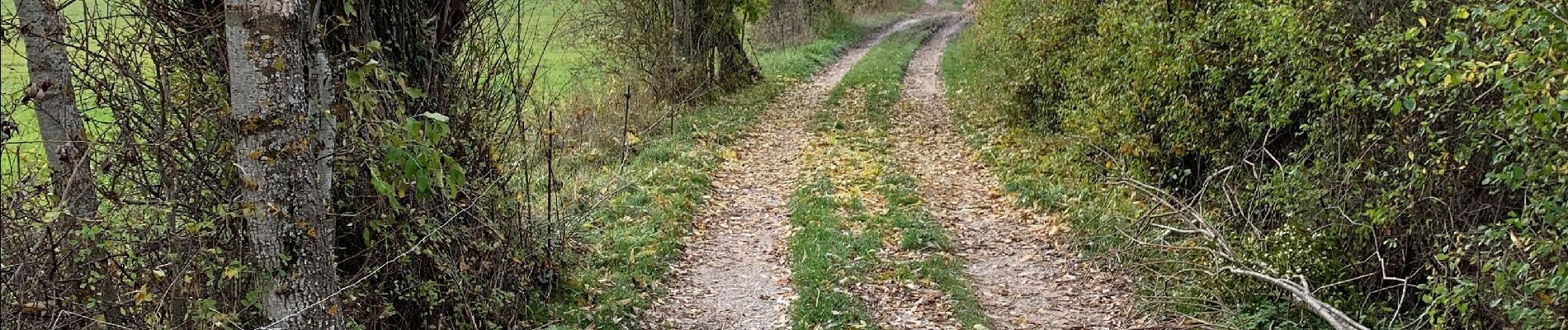 Tocht Stappen Saint-Geniez - Rando St Gêniez (04) - Photo