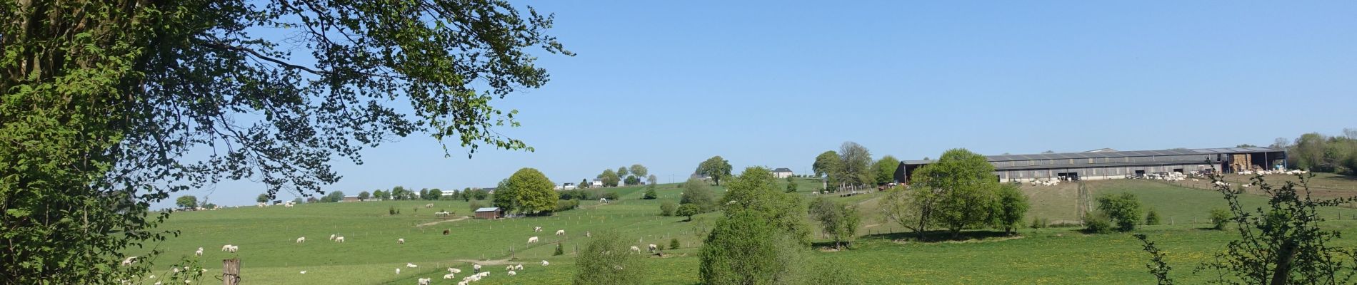 Trail Walking Neufchâteau - Tronquoy - Sberchamps - Photo