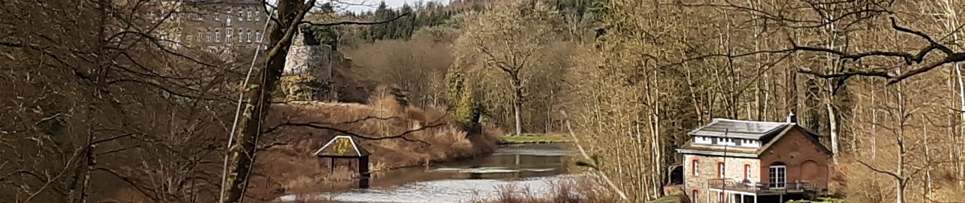 Randonnée Marche Bertogne - Withimont - Photo