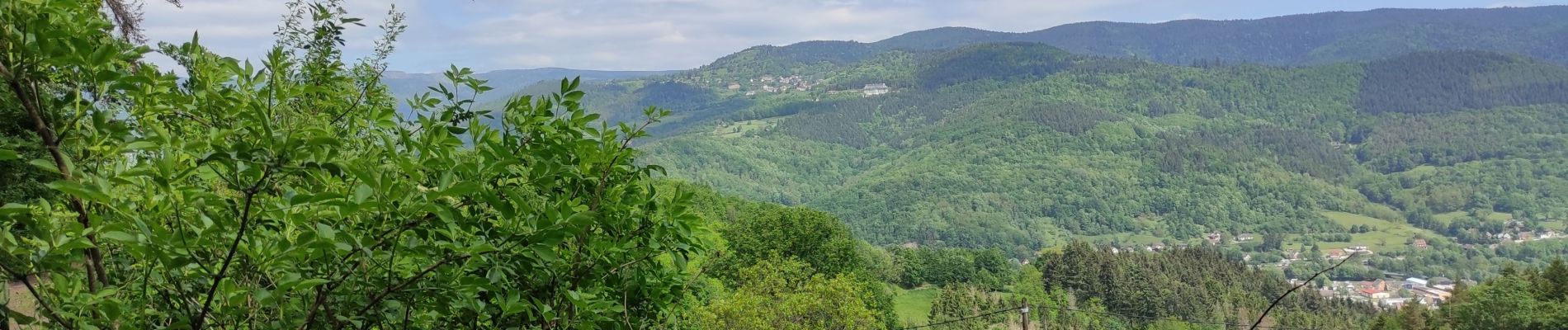 Tour Wandern Münster im Elsass - Munster  - Photo