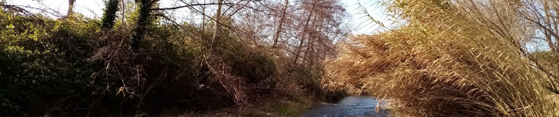 Tour Wandern Montélimar - Roubion Jabron Géry 9km - Photo