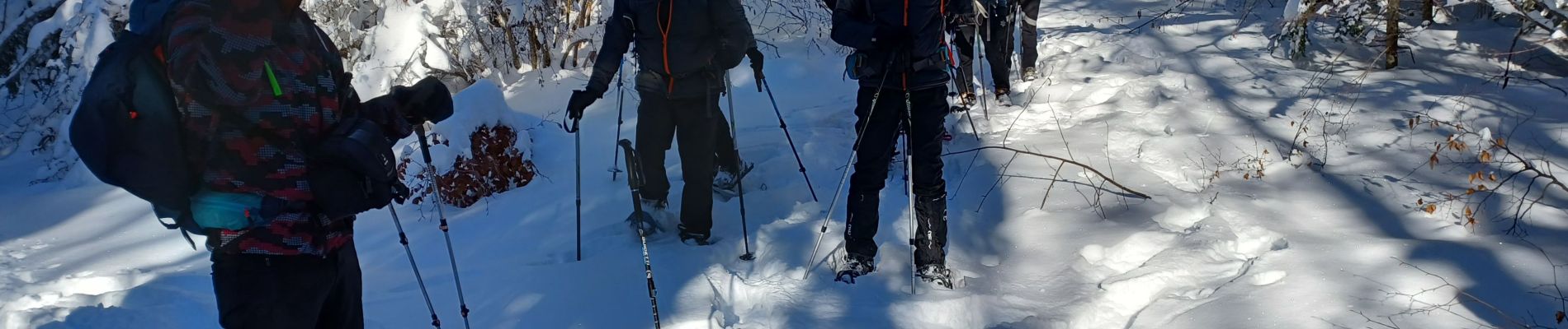 Trail Snowshoes Presles - la Goulandiere - Photo