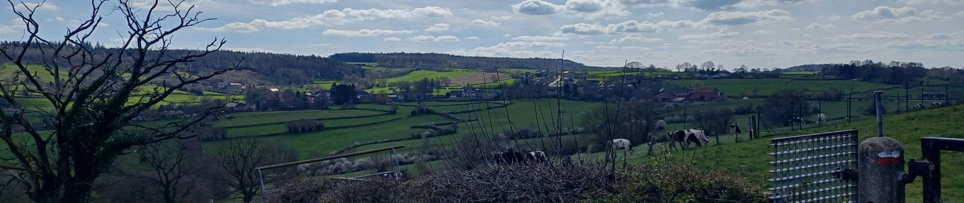 Trail Walking Limbourg - limbourg tour du dragon et du lion  - Photo