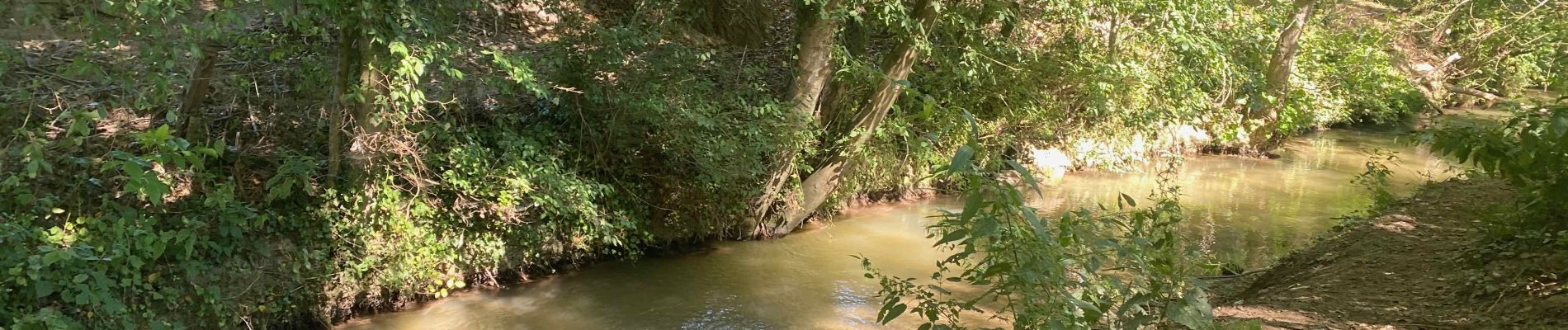 Tour Wandern Grez-Doiceau - GRP 127: de Archennes à Wavre - Photo