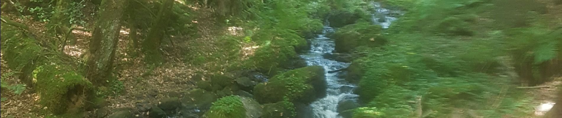 Excursión Senderismo Raon-aux-Bois - raon fouxel marchettes - Photo