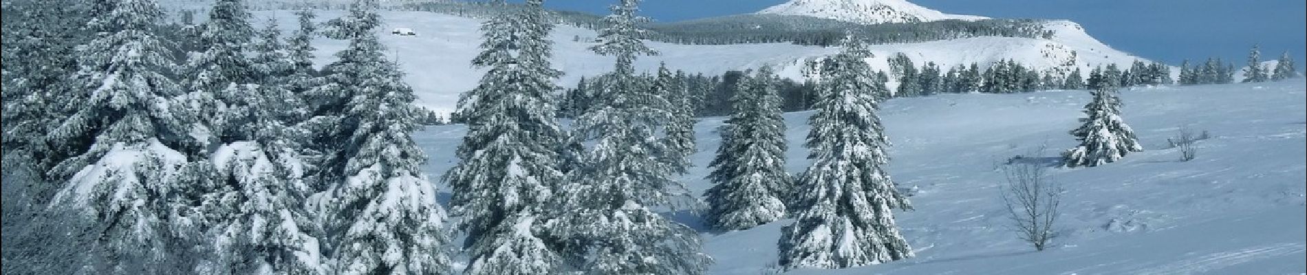 Randonnée Marche Sainte-Eulalie - Sucs Montfol et La Lauzière 11km. - Photo