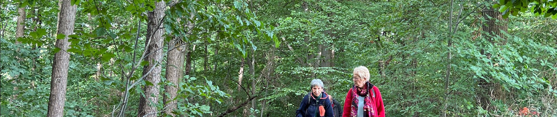 Tour Wandern Blegny - Saint Rémy - Photo