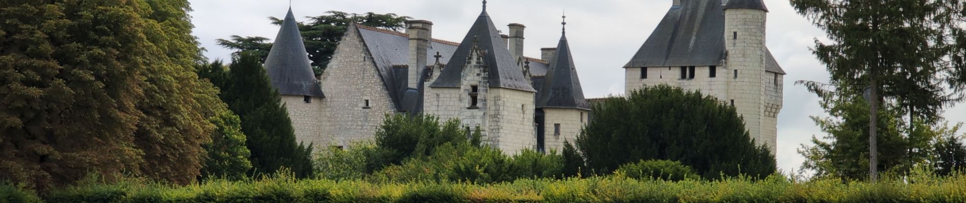 Excursión Senderismo Anché - Anché - Château du Rivau - 17.3km 170m 3h50 (1h05) - 2024 08 18 - Photo