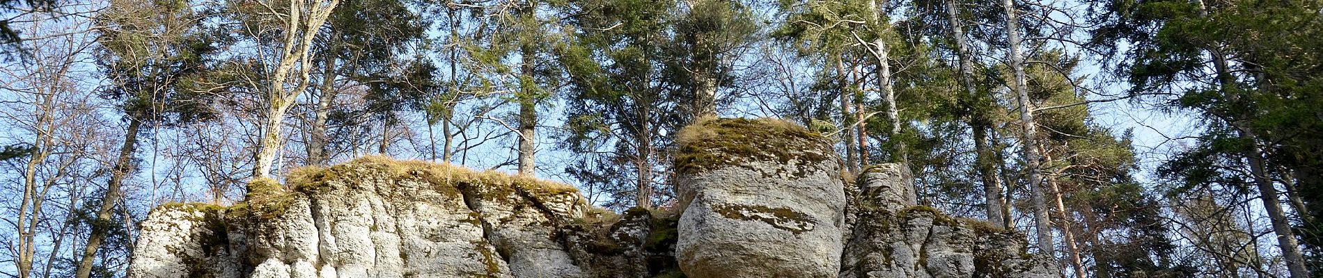 Percorso A piedi Gomadingen - Querweg - Oberdigisheim - Weg Nr. 1 - Oberdigisheim - Baienberg - bis zur Weggabelung - Photo