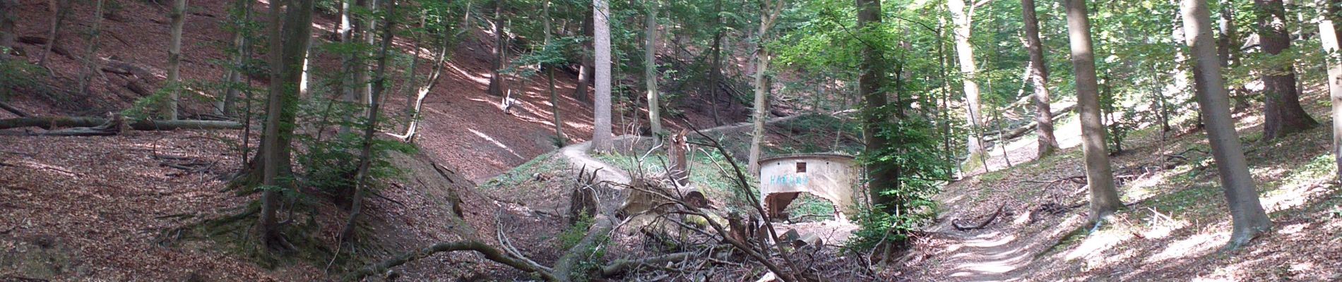 Tour Wandern Namen - Entre Marlagne et Vecquee  - Photo