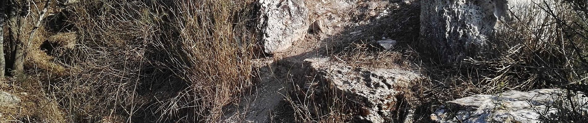 Trail On foot Mate Yehuda Regional Council - Midras ruins - Masua observatory - Photo