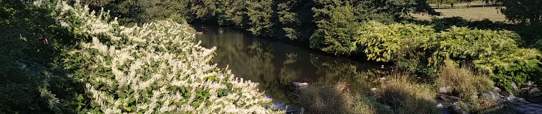 Tour Wandern Sentheim - Marcher au marché 2  - Photo