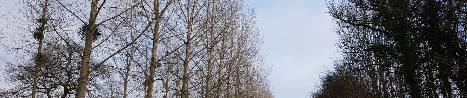 Tocht Stappen Kortessem - Vliermaal  - Photo