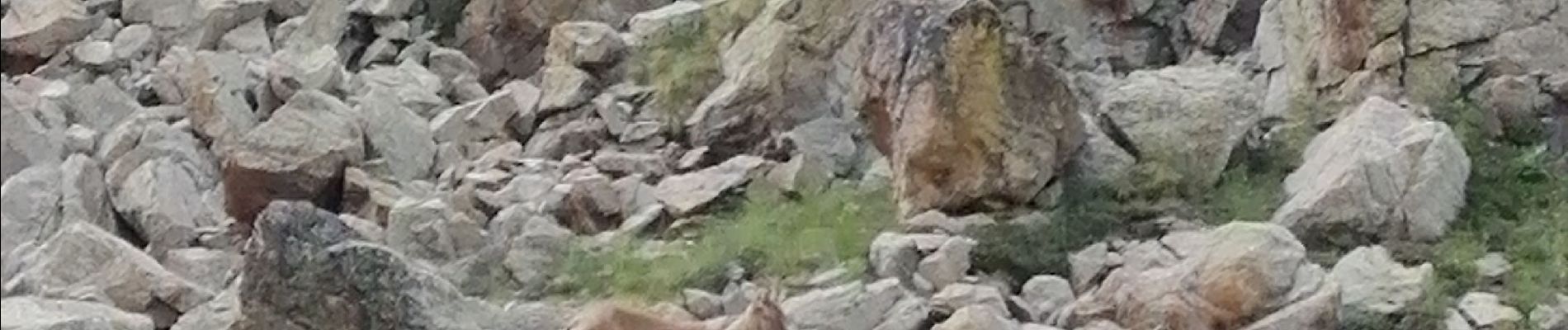 Tour Wandern Saint-Martin-Vésubie - Circuit des Lacs des bessons par le collet des lacs des Bessons - Photo