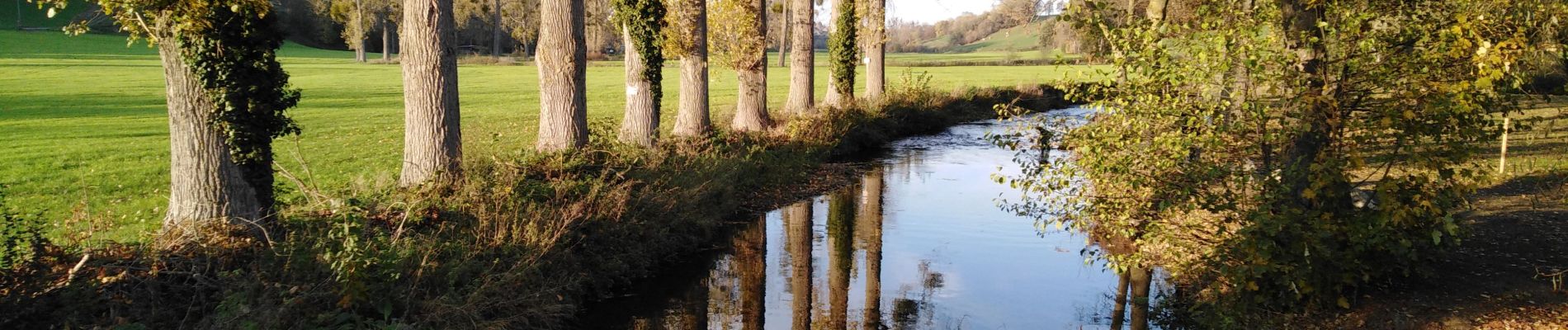 Randonnée Marche Dalhem - dalhem petit tour  - Photo