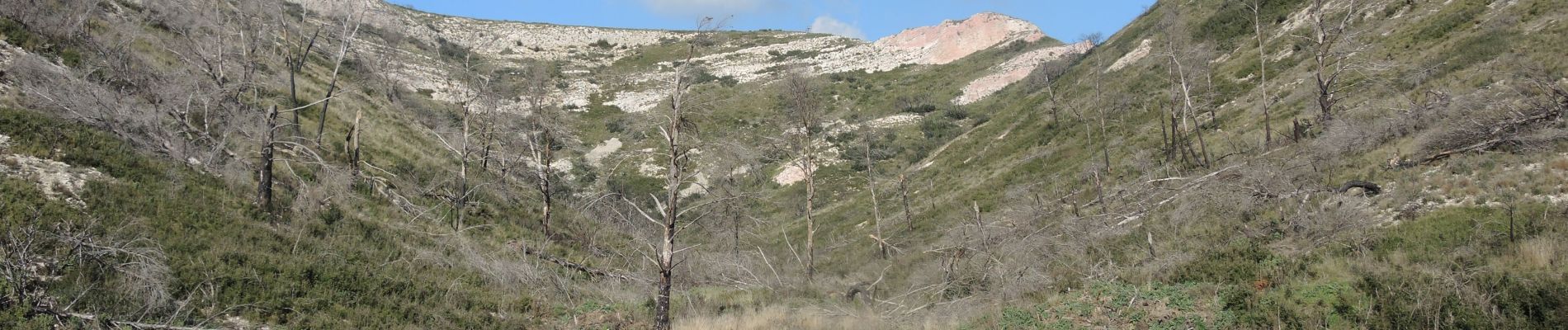 Tour Wandern Sénas - xx-Sénas - Vallon d'Auphant - 2 - Photo