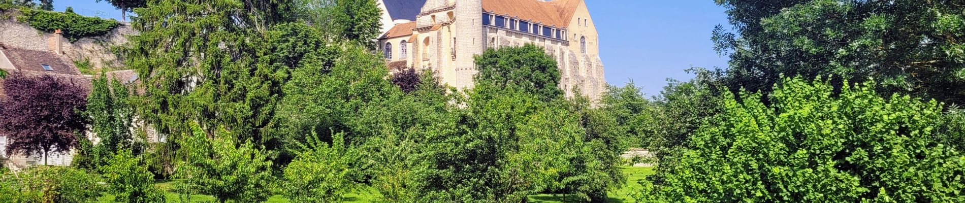 Tocht Stappen Château-Landon - Promenade à Château Landon et ses alentours - Photo