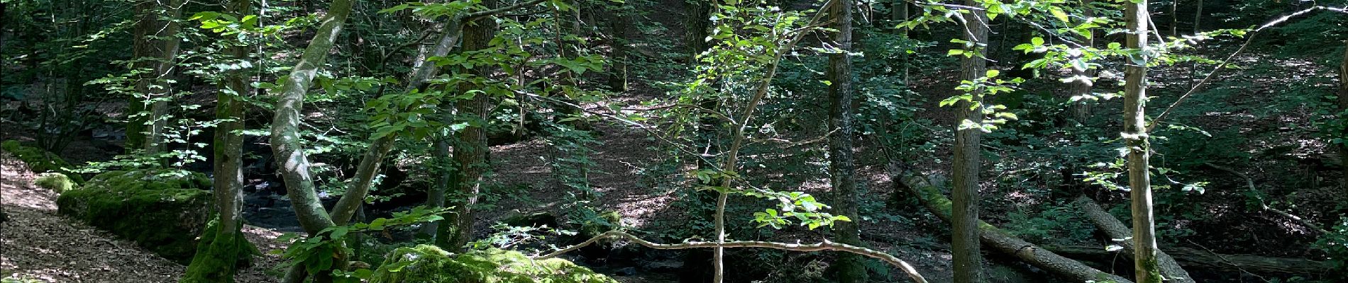 Tocht Stappen Durbuy - Aisne - Photo