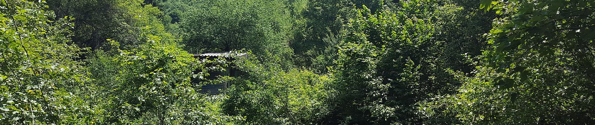 Percorso A piedi Covasna - Covasna - Valea Chetagului - Poiana Iacob - Photo